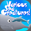 Various Sea Crteatures!
